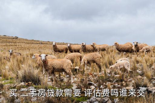 買(mǎi) 二手房貸款需要 評(píng)估費(fèi)嗎誰(shuí)來(lái)交