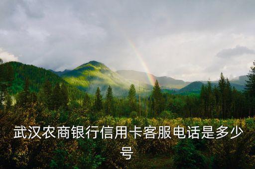  武漢農(nóng)商銀行信用卡客服電話是多少號(hào)