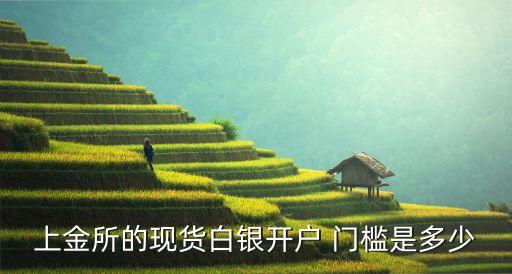 上金所的現(xiàn)貨白銀開(kāi)戶(hù) 門(mén)檻是多少
