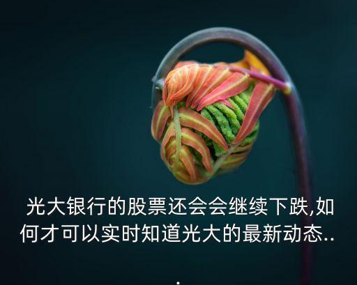 光大銀行股怎么樣,中國光大銀行股目標價