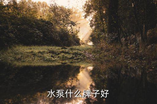東音泵業(yè)股份有限公司,浙江東音泵業(yè)股份有限公司電話(huà)