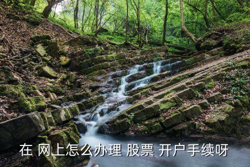 在 網(wǎng)上怎么辦理 股票 開(kāi)戶手續(xù)呀