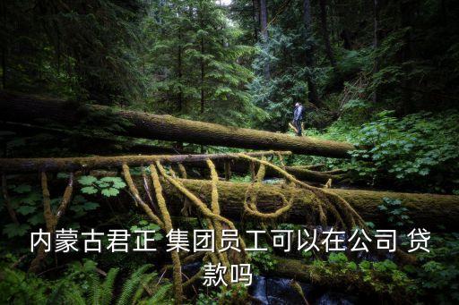 內(nèi)蒙古君正 集團員工可以在公司 貸款嗎