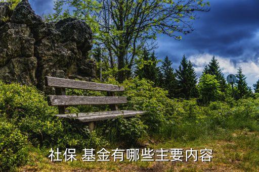 社?；鹜顿Y運(yùn)營的原則,美國社保基金投資運(yùn)營現(xiàn)狀