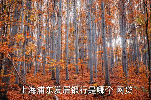  上海浦東發(fā)展銀行是哪個 網貸
