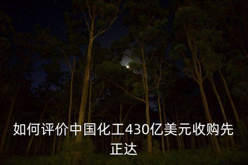 如何評價中國化工430億美元收購先正達(dá)