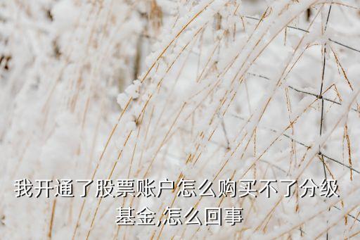 我開(kāi)通了股票賬戶怎么購(gòu)買不了分級(jí) 基金,怎么回事