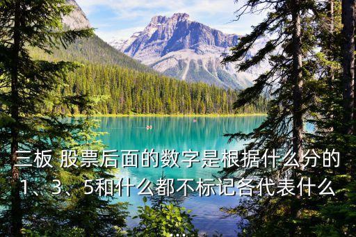 三板 股票后面的數(shù)字是根據(jù)什么分的1、3、5和什么都不標(biāo)記各代表什么...