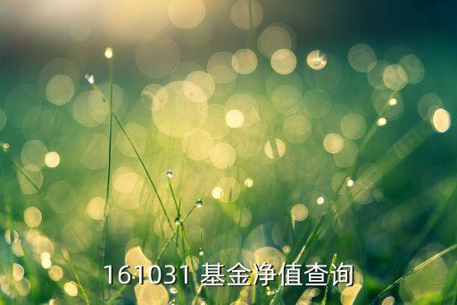 161031 基金凈值查詢