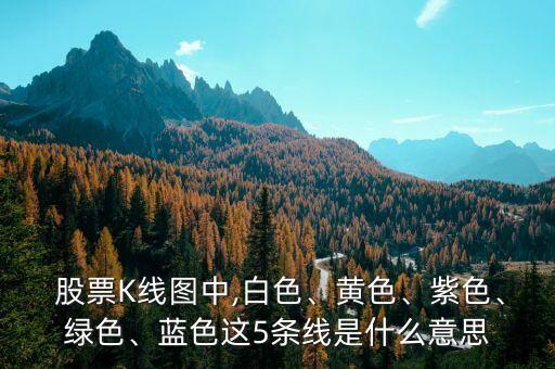  股票K線圖中,白色、黃色、紫色、綠色、藍色這5條線是什么意思