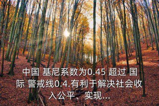 中國 基尼系數(shù)為0.45 超過 國際 警戒線0.4.有利于解決社會收入公平、實現(xiàn)...