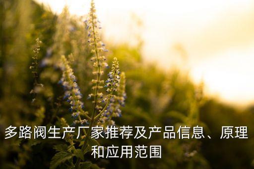 多路閥生產(chǎn)廠家推薦及產(chǎn)品信息、原理和應(yīng)用范圍