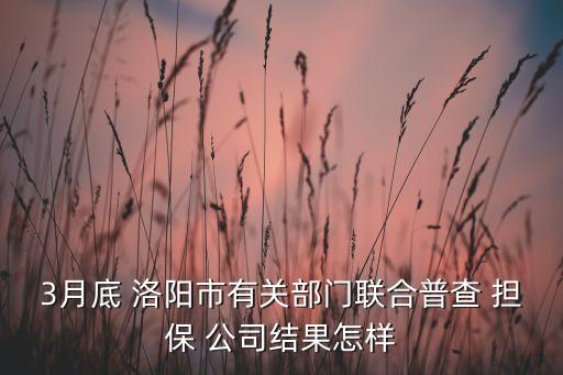 3月底 洛陽(yáng)市有關(guān)部門聯(lián)合普查 擔(dān)保 公司結(jié)果怎樣