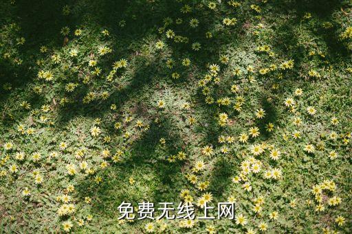 德國(guó)股票開戶,十大股票開戶排行榜