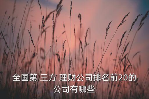 全國(guó)第 三方 理財(cái)公司排名前20的公司有哪些