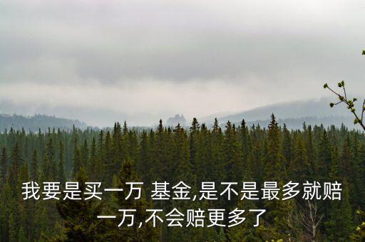我要是買一萬(wàn) 基金,是不是最多就賠一萬(wàn),不會(huì)賠更多了