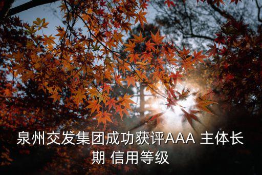 上市公司主體信用評(píng)級(jí)aa名單