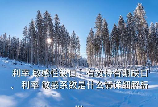  利率 敏感性缺口、有效持有期缺口、 利率 敏感系數(shù)是什么請(qǐng)?jiān)敿?xì)解析...