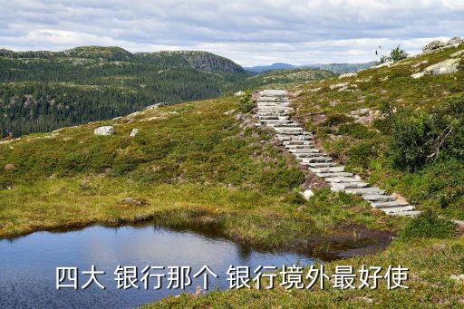 四大 銀行那個 銀行境外最好使