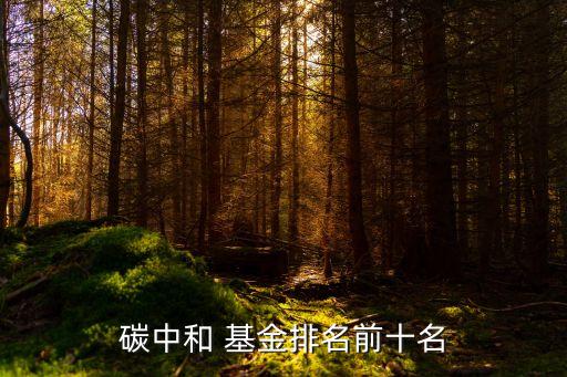 有關(guān)環(huán)保的基金,環(huán)?；鹎笆琶?/></a></span><span id=