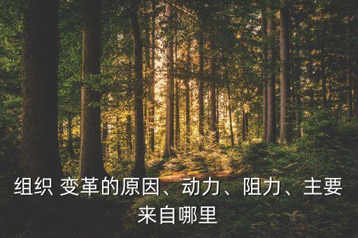 組織 變革的原因、動(dòng)力、阻力、主要來自哪里