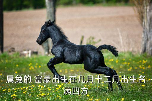 全中國(guó)所有屬兔富豪