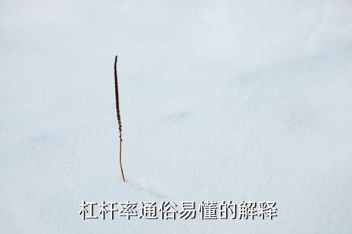 銀行杠桿率是越高越好嗎,財務杠桿率越高越好么