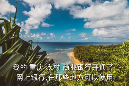 我的 重慶 農村 商業(yè)銀行開通了 網(wǎng)上銀行,在那些地方可以使用