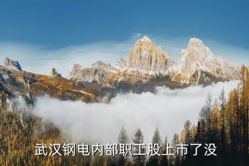  武漢鋼電內(nèi)部職工股上市了沒(méi)