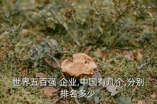 世界五百強(qiáng) 企業(yè),中國有幾個,分別排名多少
