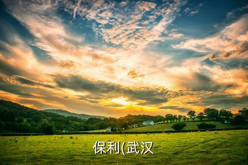 湖北廣電房地產開發(fā)有限公司,湖北天創(chuàng)房地產開發(fā)有限公司