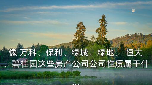 像 萬科、保利、綠城、綠地、 恒大、碧桂園這些房產(chǎn)公司公司性質(zhì)屬于什...