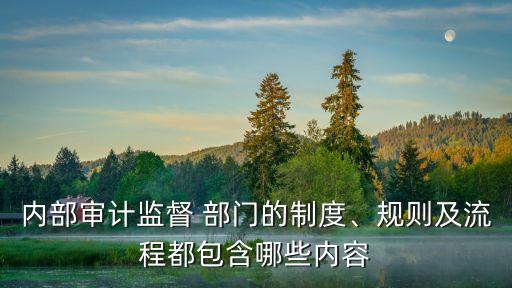 內(nèi)部審計(jì)監(jiān)督 部門的制度、規(guī)則及流程都包含哪些內(nèi)容