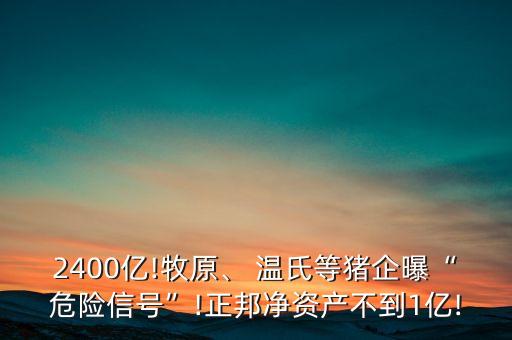 2400億!牧原、 溫氏等豬企曝“危險(xiǎn)信號(hào)”!正邦凈資產(chǎn)不到1億!