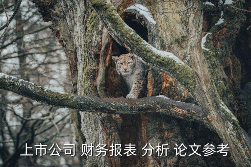 上市公司 財(cái)務(wù)報表 分析 論文參考