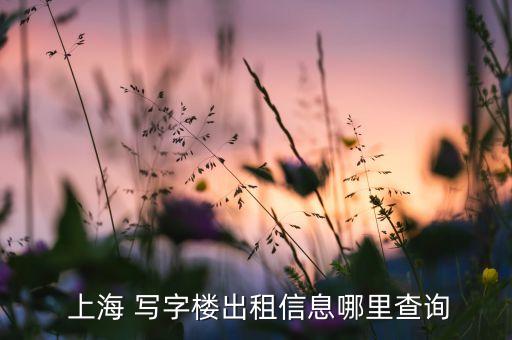  上海 寫(xiě)字樓出租信息哪里查詢