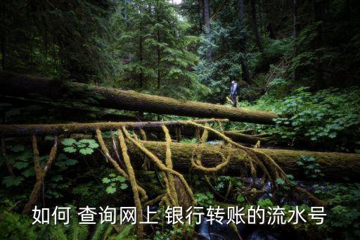 如何 查詢網上 銀行轉賬的流水號