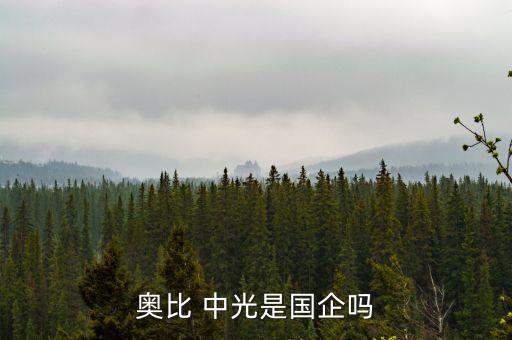 奧比 中光是國(guó)企嗎