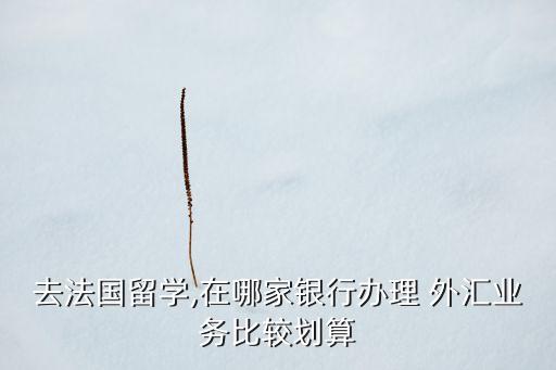 去法國留學(xué),在哪家銀行辦理 外匯業(yè)務(wù)比較劃算