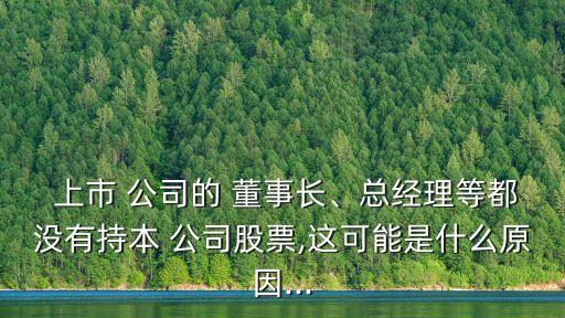  上市 公司的 董事長(zhǎng)、總經(jīng)理等都沒(méi)有持本 公司股票,這可能是什么原因...