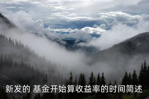 新發(fā)的 基金開(kāi)始算收益率的時(shí)間簡(jiǎn)述