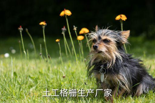 山東同創(chuàng)電力工程有限公司,山東電力工程咨詢(xún)?cè)河邢薰敬?/></a></span><span id=