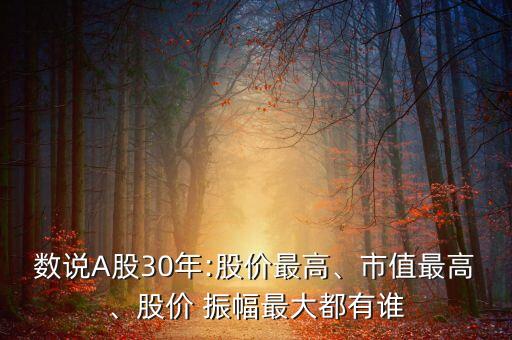 數(shù)說(shuō)A股30年:股價(jià)最高、市值最高、股價(jià) 振幅最大都有誰(shuí)