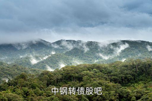  中鋼轉債股吧