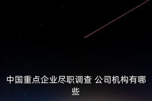 中國重點企業(yè)盡職調(diào)查 公司機構有哪些