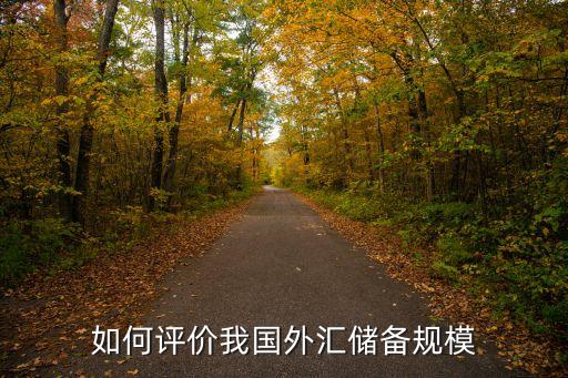 如何評價(jià)我國外匯儲備規(guī)模
