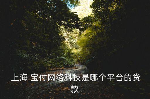  上海 寶付網絡科技是哪個平臺的貸款