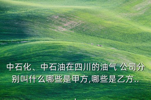 中石化、中石油在四川的油氣 公司分別叫什么哪些是甲方,哪些是乙方...