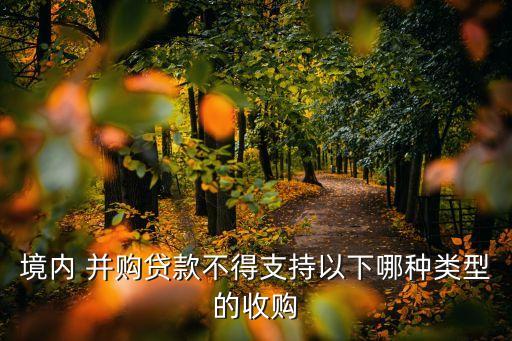 境內(nèi) 并購(gòu)貸款不得支持以下哪種類(lèi)型的收購(gòu)