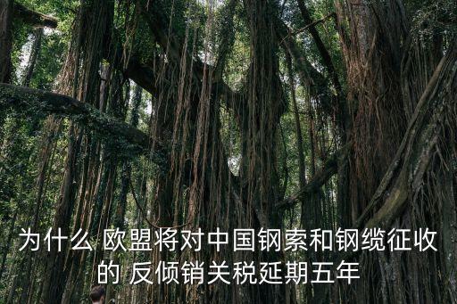 為什么 歐盟將對中國鋼索和鋼纜征收的 反傾銷關(guān)稅延期五年